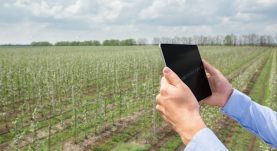 How technology is transforming agriculture towards sustainability
