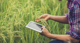 Digital farming helping the agriculture sector.