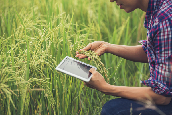 Digital farming helping the agriculture sector.